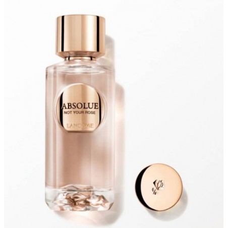 Absolue Not Your Rose 100ML parfum - Rose Centifolia - Musc - Accord de mousse