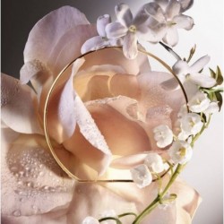 Absolue 6AM Rose 100ML-Jasmin du domaine - Accord Muguet - Rose Centifolia