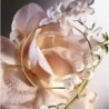 Absolue 6AM Rose 100ML-Jasmin du domaine - Accord Muguet - Rose Centifolia