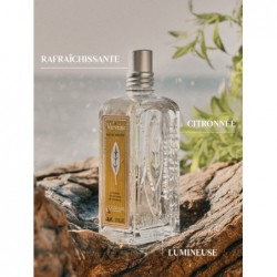 L’OCCITANE Eau de Toilette Verveine 100ML