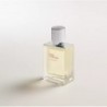 Terre d'Hermès Eau Givrée Eau de parfum