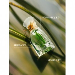 Eau de Parfum Herbae par L'OCCITANE 50ml Parfum Homme