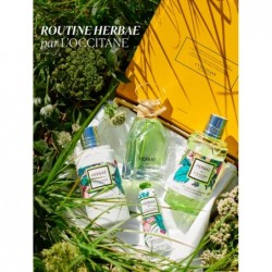 Eau de Parfum Herbae par L'OCCITANE 50ml Parfum Homme