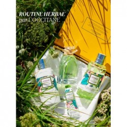 Eau de Parfum Herbae par L'OCCITANE 50ml Parfum Homme