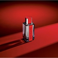 Nouveau Parfum Homme Red Leather - Eau de Parfum 100ML