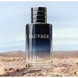 Sauvage Eau de Toilette - notes fraîches, hespéridées et boisées 100ML