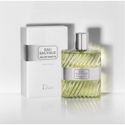 DIOR Dior Homme au Sauvage Eau de Toilette 100ML