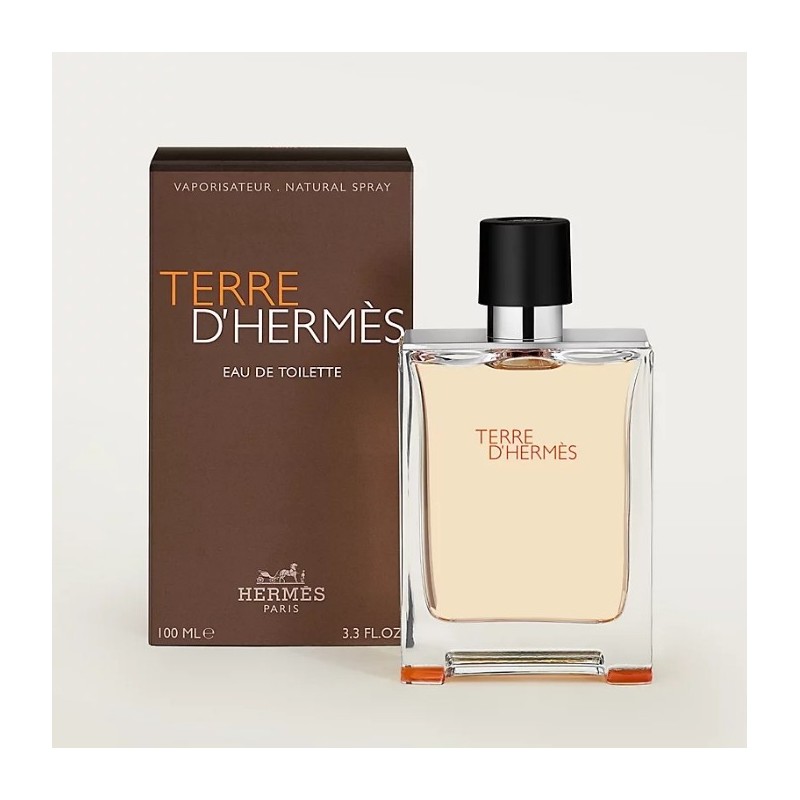 HERMÈS Terre d’Hermès eau de toilette pour homme 100ML