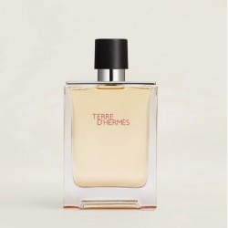 HERMÈS Terre d’Hermès eau de toilette pour homme 100ML