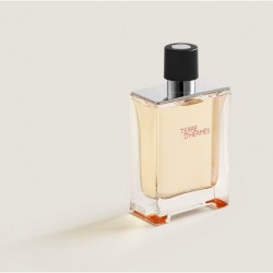 HERMÈS Terre d’Hermès eau de toilette pour homme 100ML