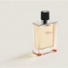 HERMÈS Terre d’Hermès eau de toilette pour homme 100ML