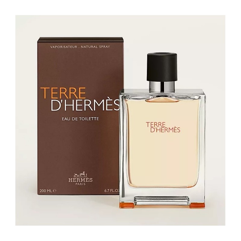 HERMÈS Terre d’Hermès eau de toilette pour homme 200ML