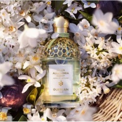 Guerlain AQUA ALLEGORIA Nérolia Vetiver - Eau de Toilette 125ML