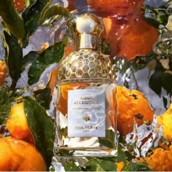 GUERLAIN AQUA ALLEGORIA MANDARINE BASILIC - EAU DE TOILETTE 75ML