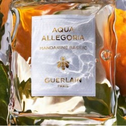 GUERLAIN AQUA ALLEGORIA MANDARINE BASILIC - EAU DE TOILETTE 75ML